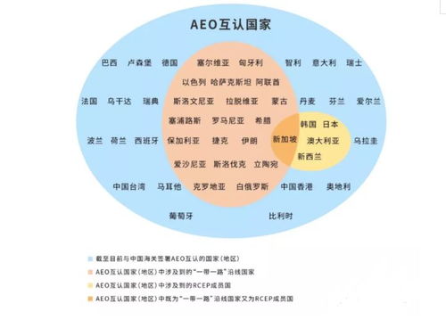 前三季度衛生陶瓷出口勢頭強勁，企業出海機遇與風險管理并重
